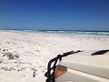 Lancelin Wedge Island (9)